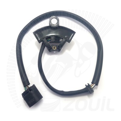 Sensor do Estator PCX 150 [14-15]