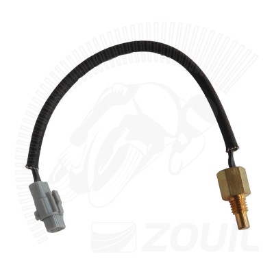 Sensor de Temperatura Burgman i [12-18]