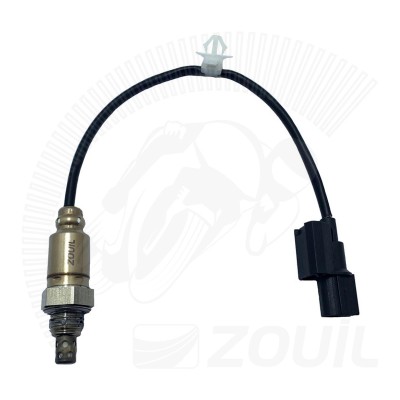 Sensor de Oxigênio PCX150 [14-15]