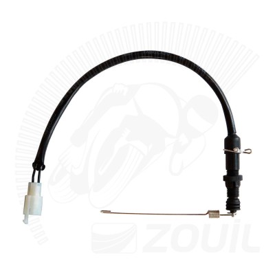 Interruptor de Freio Traseiro CB300R/RA [10-15] (com  mola)